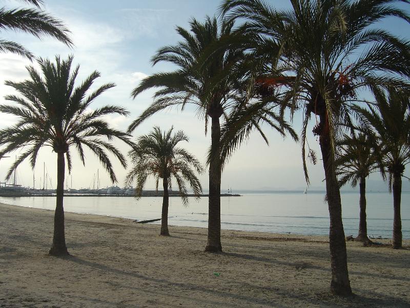 Hotel Hispania Playa de Palma  Dış mekan fotoğraf